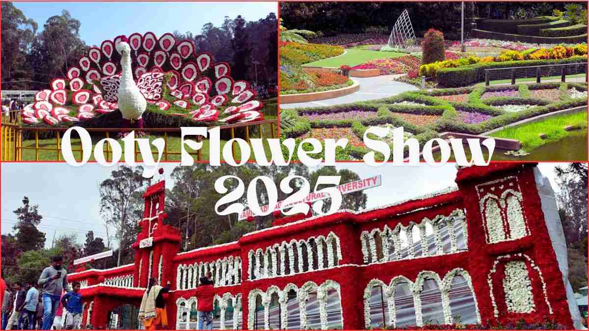 Ooty Flower Show
