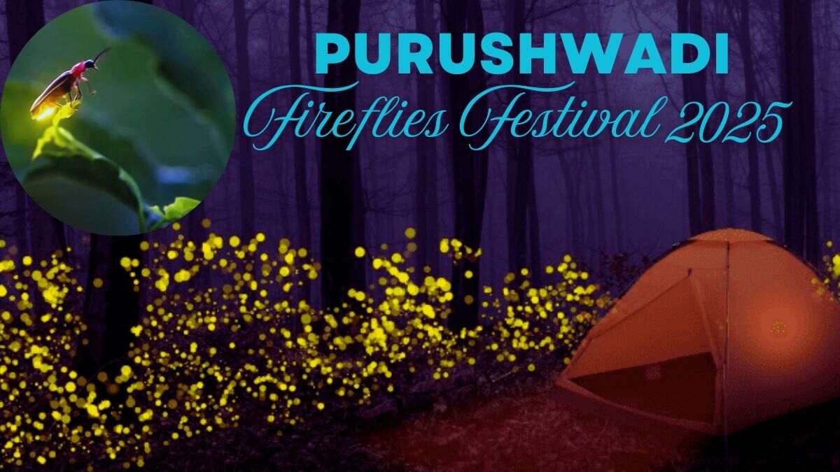 Purushwadi Fireflies Festival