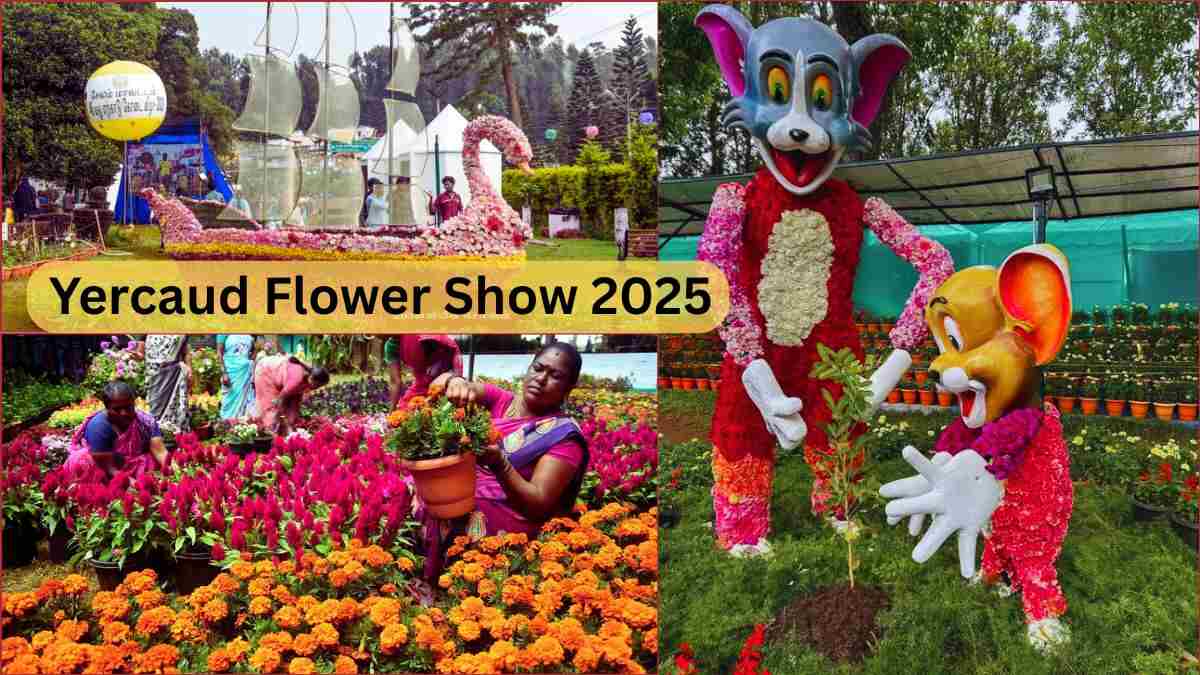 Yercaud Flower Show